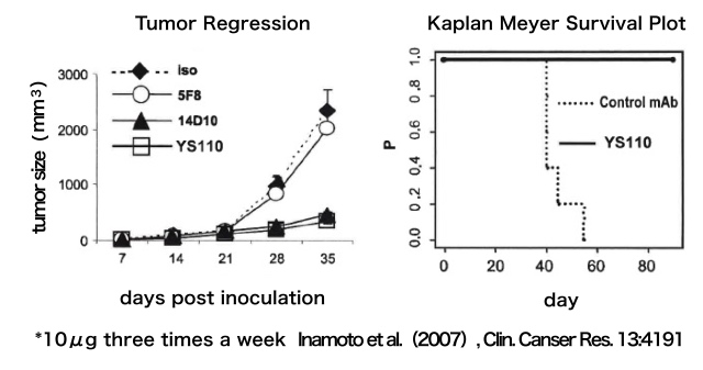 Pre-clinical research of YS110 in cancer | Y's AC Co.,Ltd