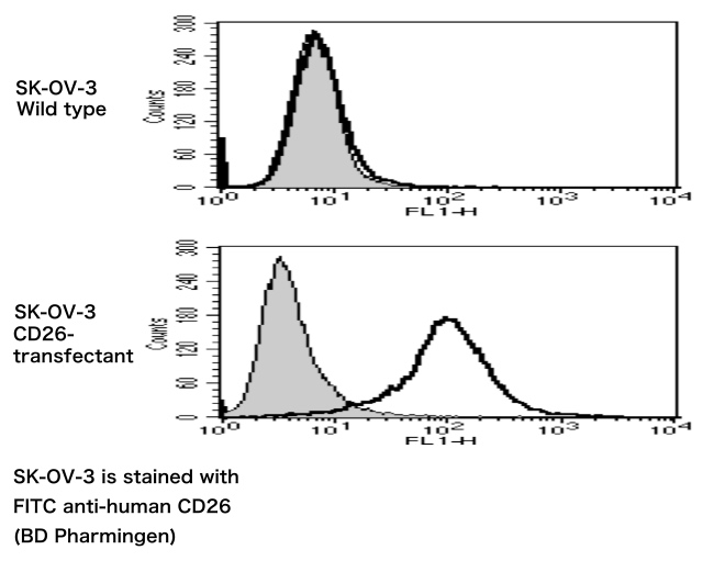 YS110 in pre-clinical studies - Ovarian cancer