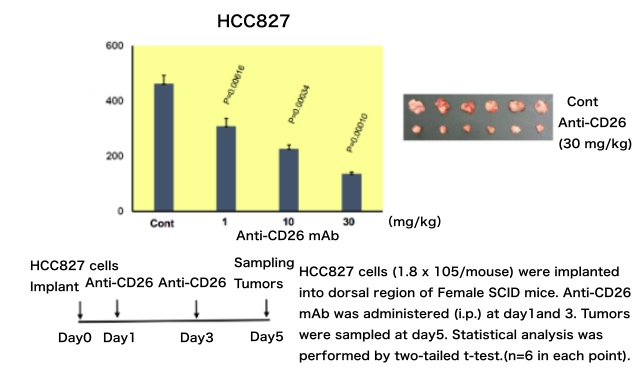 YS110 in pre-
            clinical studies - Lung cancer