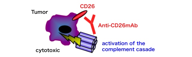 Acting mechanisms of YS110 against cancer