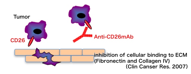 Acting mechanisms of YS110 against cancer