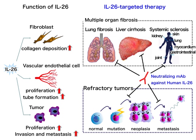 Substance under pre-clinical research YS110